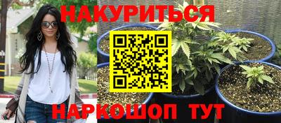 apvp Кингисепп